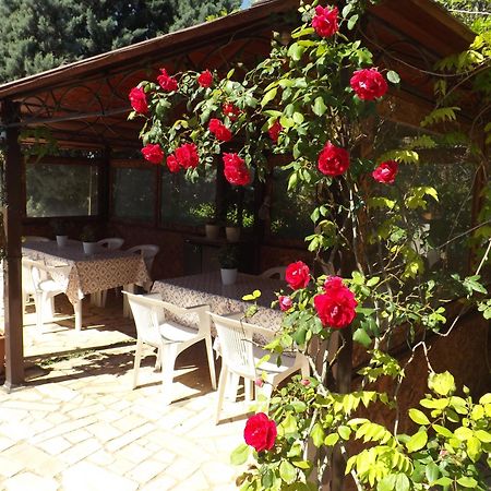 B&B Villa Lena Turi Bagian luar foto