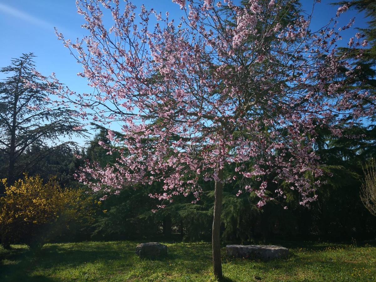 B&B Villa Lena Turi Bagian luar foto