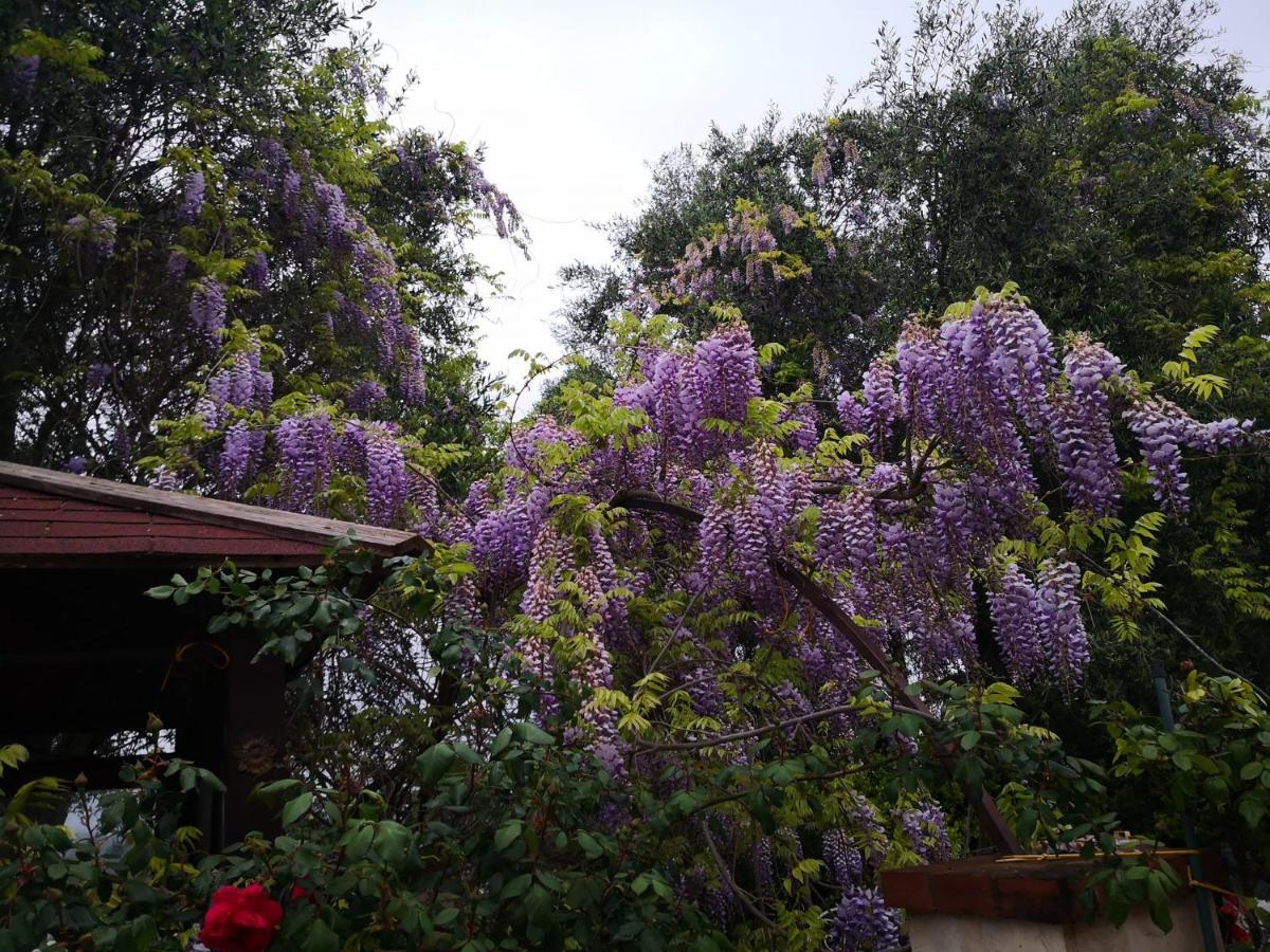 B&B Villa Lena Turi Bagian luar foto