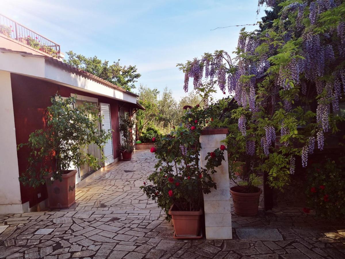 B&B Villa Lena Turi Bagian luar foto