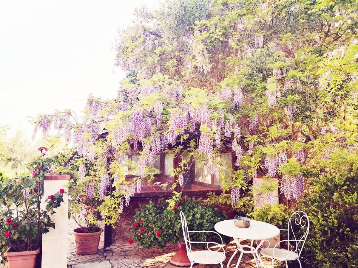B&B Villa Lena Turi Bagian luar foto