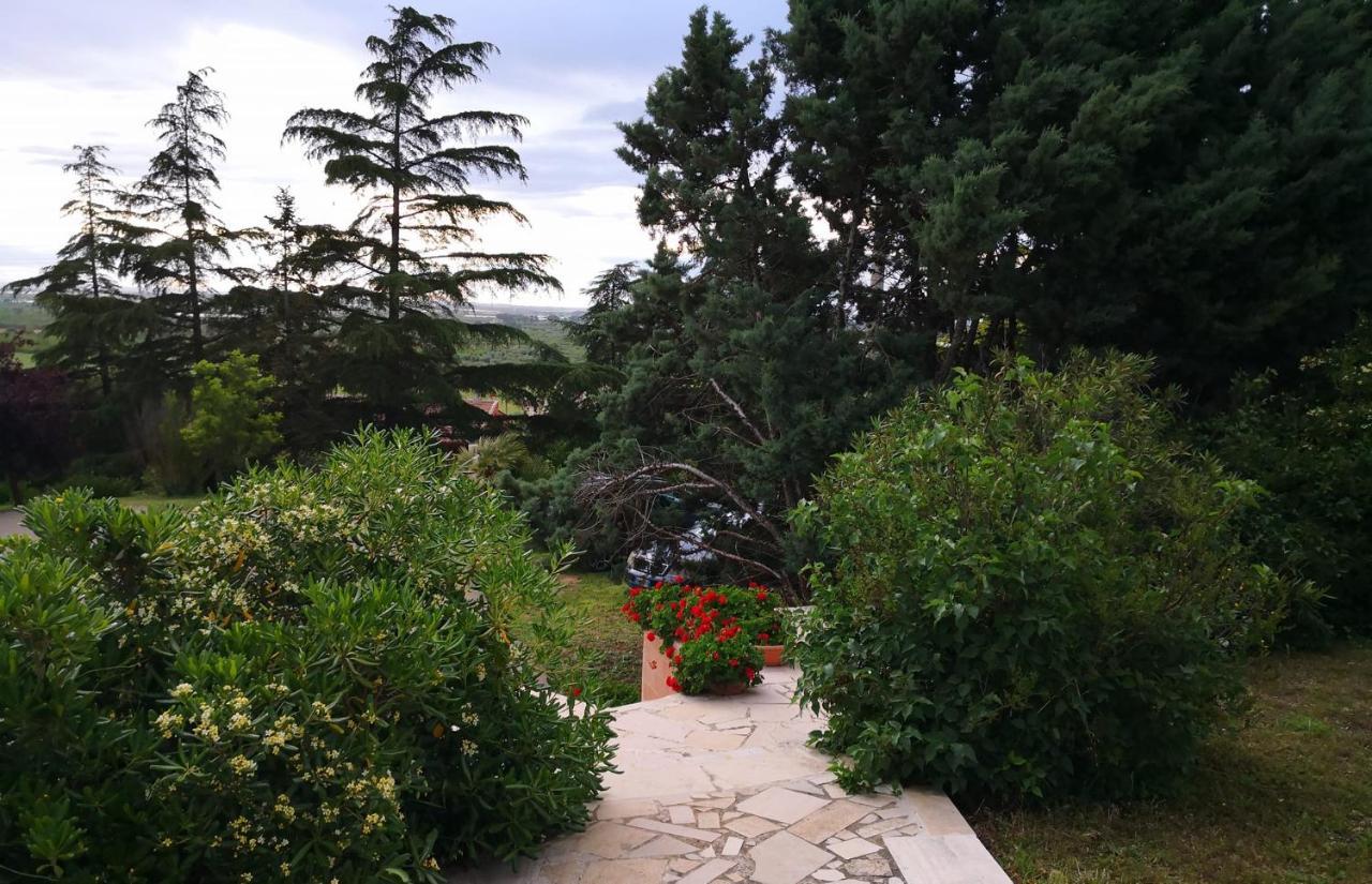 B&B Villa Lena Turi Bagian luar foto