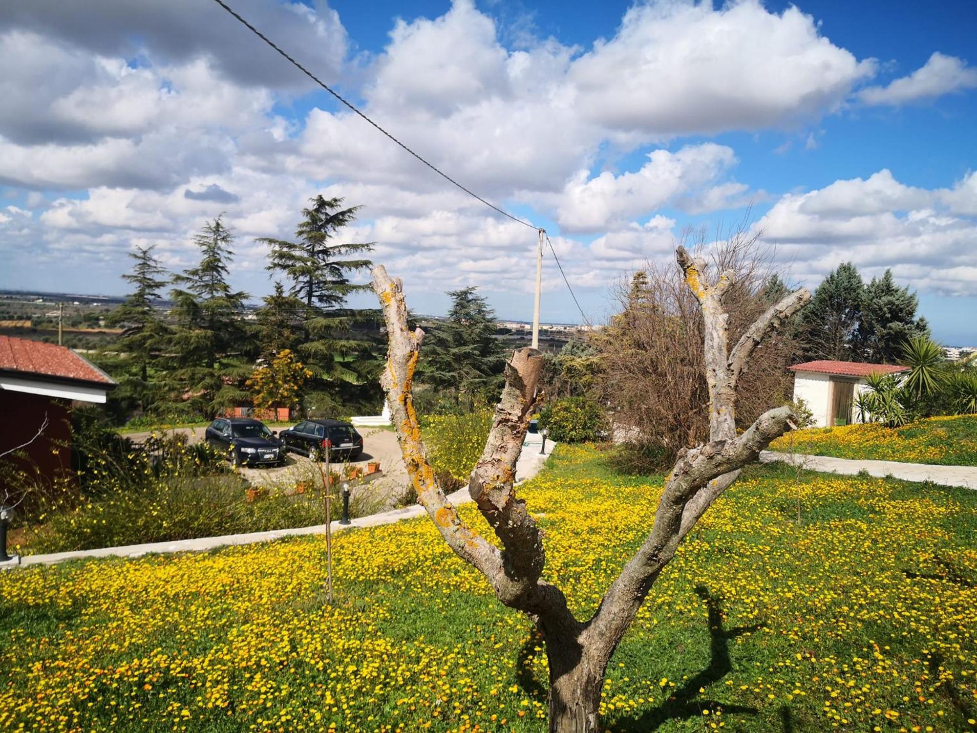 B&B Villa Lena Turi Bagian luar foto