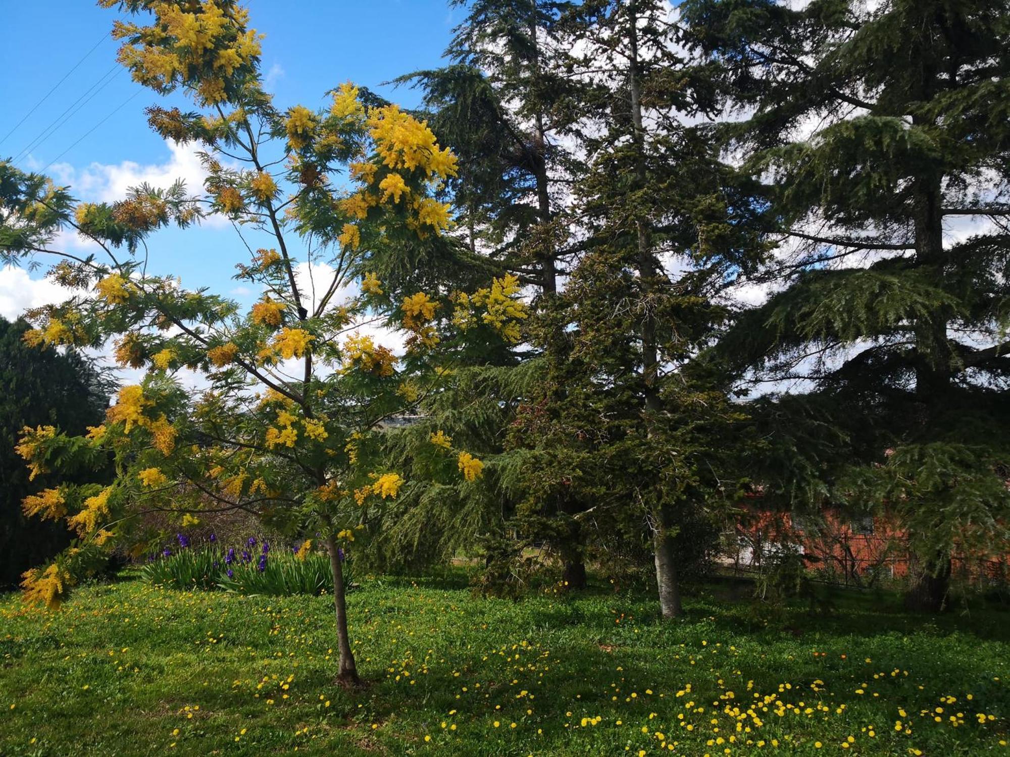 B&B Villa Lena Turi Bagian luar foto