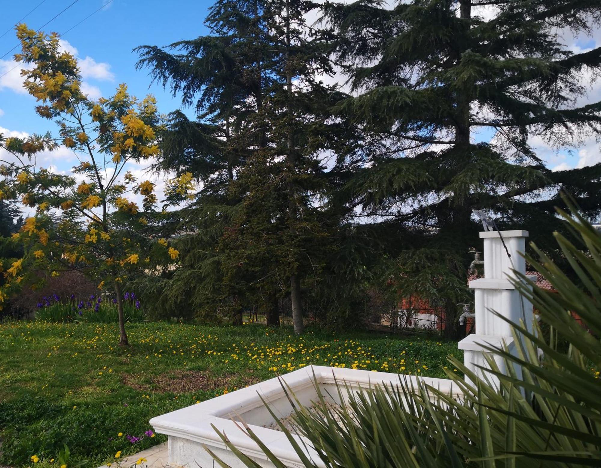 B&B Villa Lena Turi Bagian luar foto