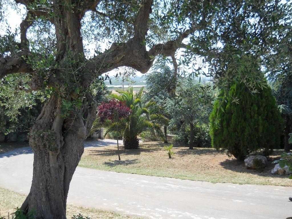 B&B Villa Lena Turi Bagian luar foto