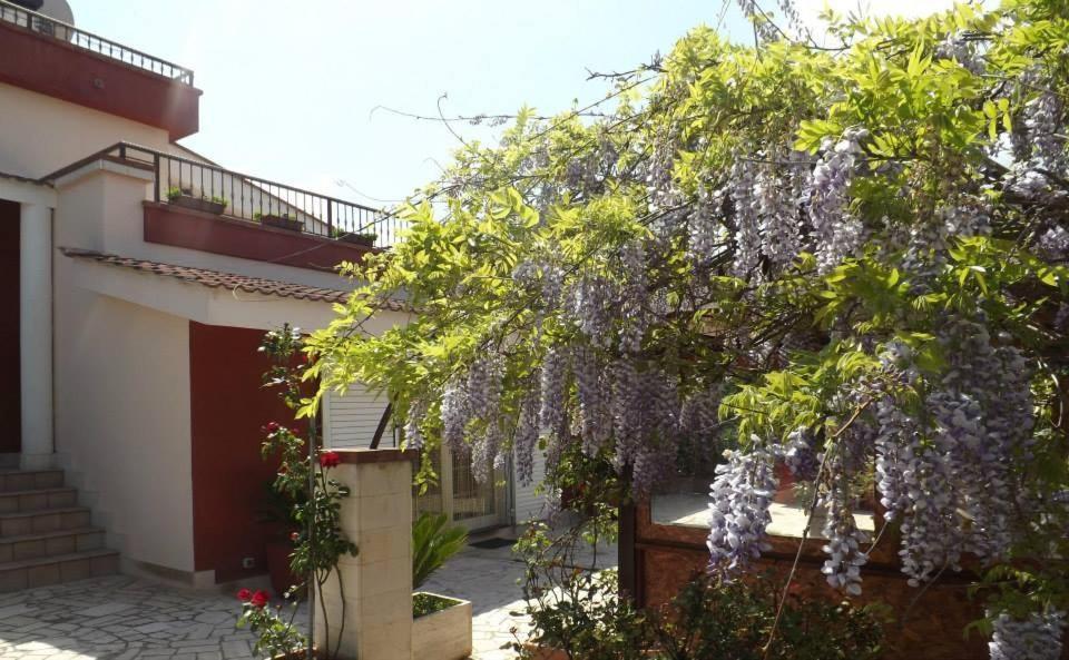 B&B Villa Lena Turi Bagian luar foto